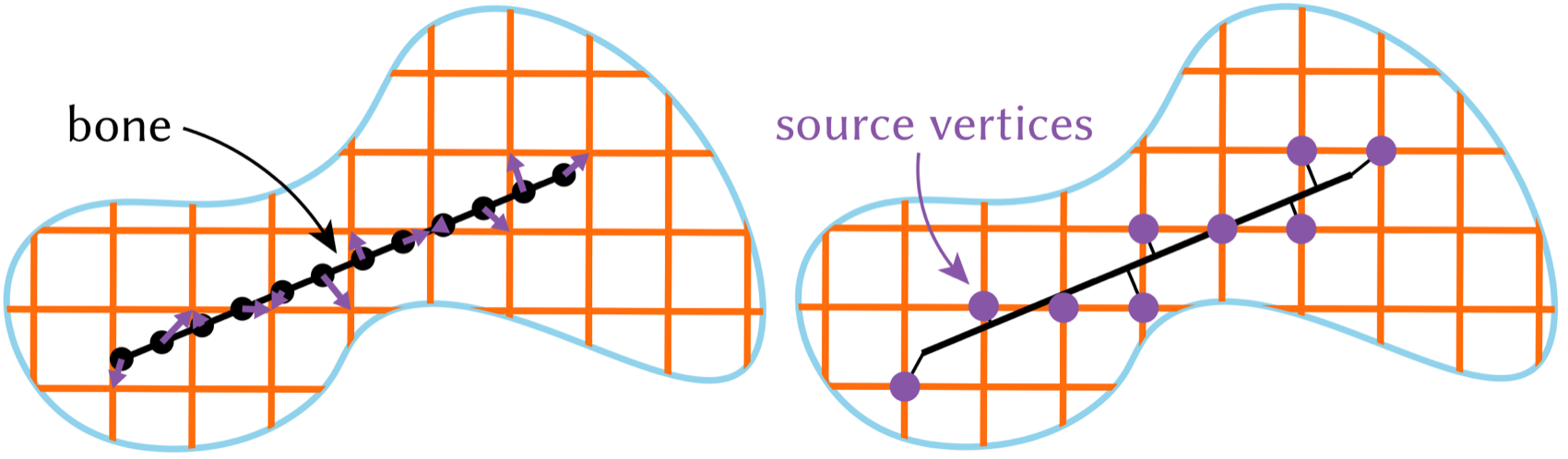 Diagram showing points sampled along a bone, purple arrows pointing to their nearest graph vertices, and the resulting set of purple source vertices used to seed Dijkstra's algorithm.